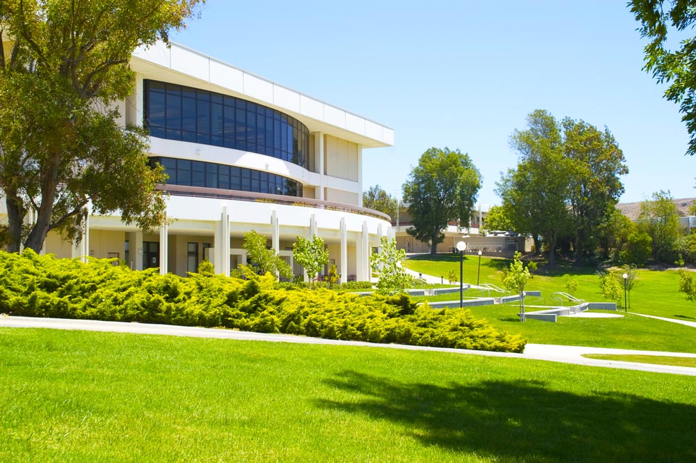 Commercially landscaped outside space